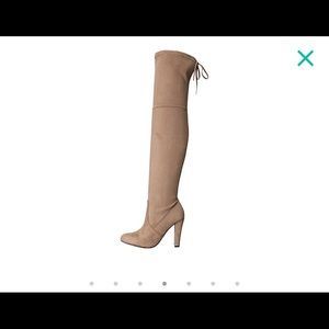 Suede Taupe Knee High Boot